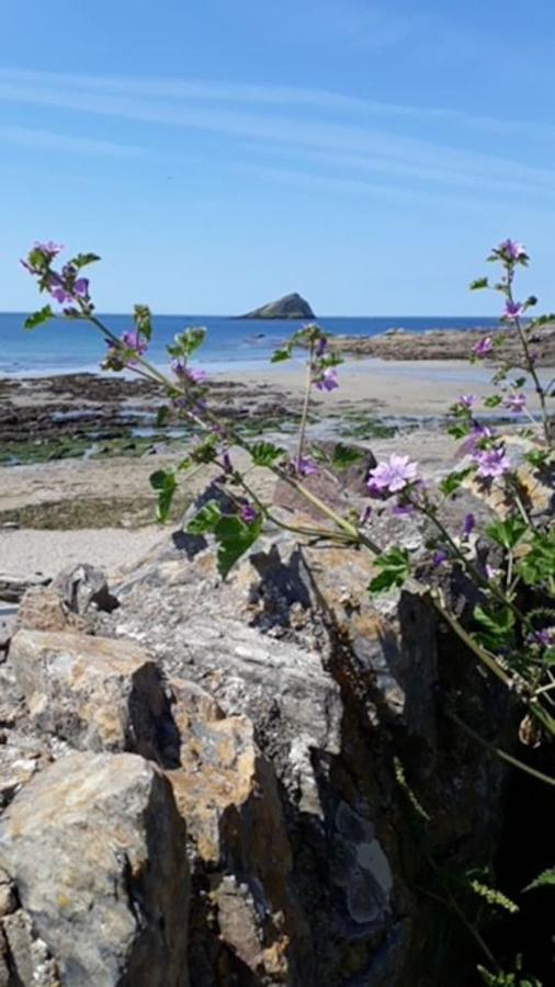 Walnut Cottage Newton Ferrers Esterno foto